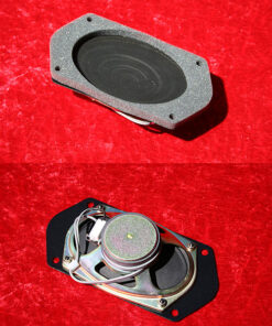 SPEAKER1